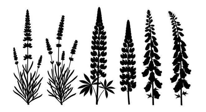 Collection of black flower silhouettes including lavender, lupine, and foxglove.