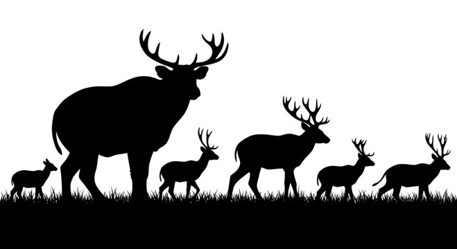 Black Silhouette of a Deer Herd Standing in Grass