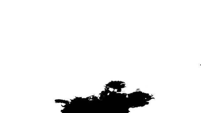 Elegant Chinese Ink Flow Abstract Artistic Motion Background