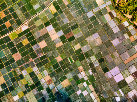 Aerial view of the colorful patchwork of agricultural fields and vegetable plots near Bukit Selong Sembalun, West Nusa Tenggara, Indonesia.