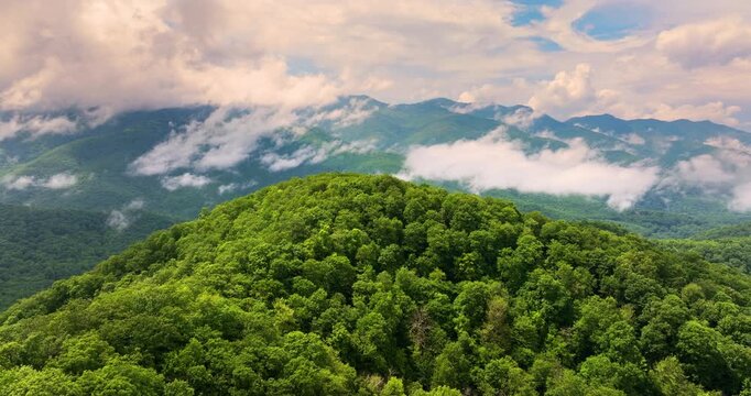 Smoky mountains summer woods. Appalachian mountains in North Carolina with fresh green forest trees in summertime rainy season. Beauty of USA nature.