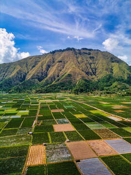 Aerial view of Bukit Selong and the colorful agricultural fields of the Sembalun valley under a blue sky with wispy clouds in Sembalun, West Nusa Tenggara, Indonesia.