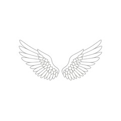 Fototapeta premium Wings Spread Symmetrical Wings