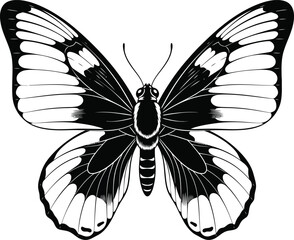 Black and white hand drawn butterfly illustration. © Vhya