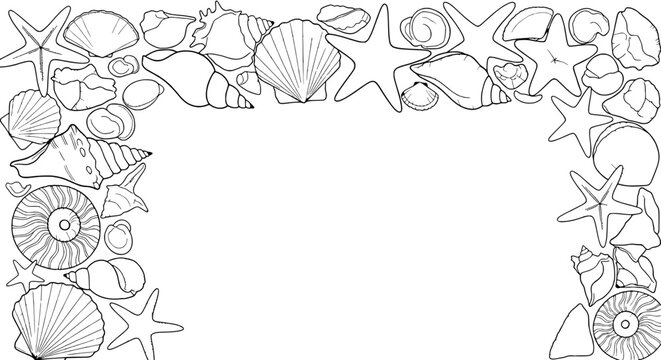 Seashells and starfish form a border on a white background.