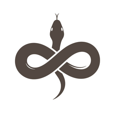 Brown snake forming infinity symbol on white background