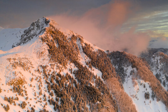 Aerial view of a snow-covered mountain peak with pine trees on the slopes under a pink sunset sky with clouds Sassalbo, Tuscany, Italy.