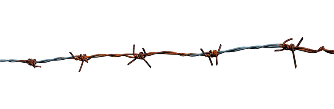 rusty barbed wire isolated on white