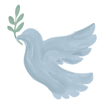 Peace dove light blue color with olive branch symbol hand drawn watercolors painted isolated on white background
