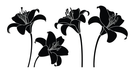 Adobe Illustrator Artwork © Jihad