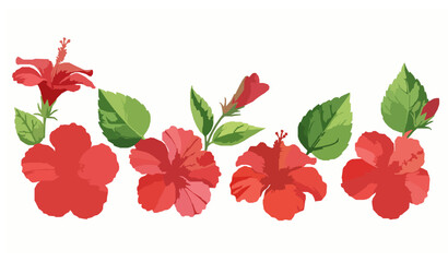 Red hibiscus flower watercolor set with tropical blossoms and green leaves vector illustration isolated on white background © RUMA
