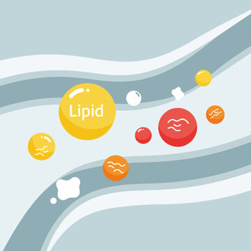 Flat vector illustration of lipid and cholesterol molecules flowing through a stylized blood vessel with colorful abstract spheres and fluid wave patterns on a blue background.