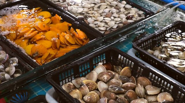 Close-up shots of fresh seafood, including various shellfish in the tank.