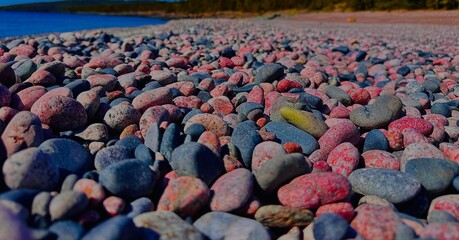 Obraz premium Multicolored pebbles on beach, abstract natural texture background