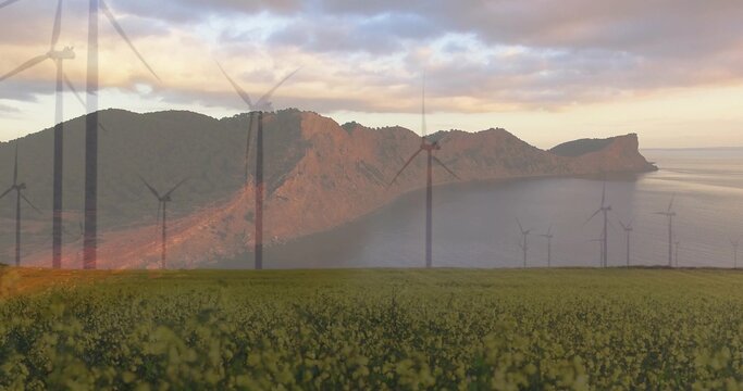 Framing coastal ridge with wind turbines, flowering field stretching to calm sea under pastel sky