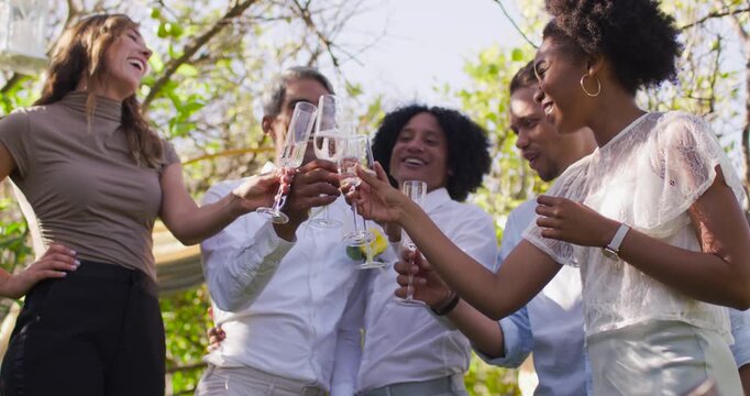 Vertical video: Five friends toasting flutes after center stepping in wearing yellow pin in garden