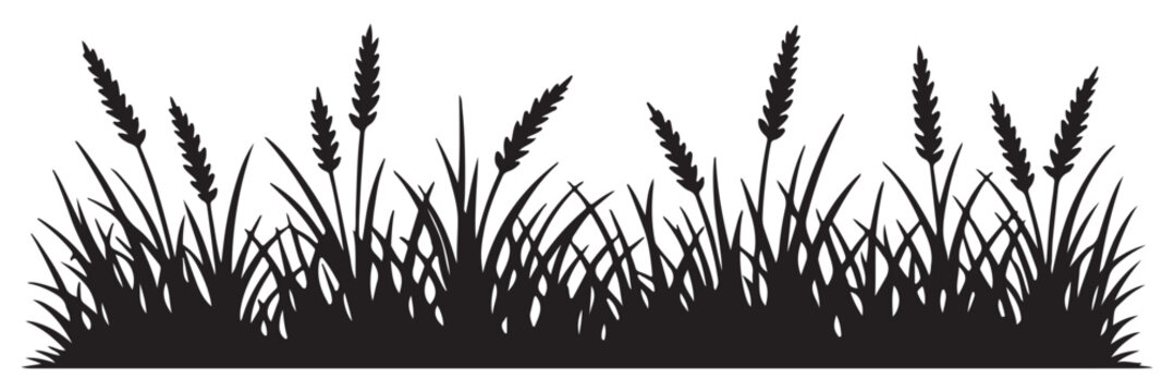 Cattail grass silhouette, black nature plant, marsh vegetation, wild reed bush, field element vector. Wild grass on the river bank. Swamp coastal 