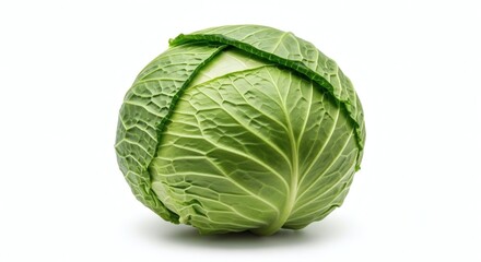 Fototapeta premium A fresh green cabbage on a white background