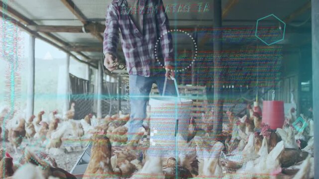 Male farmer reaching into white bucket, scattering feed to poultry while HUD graphics intensifying