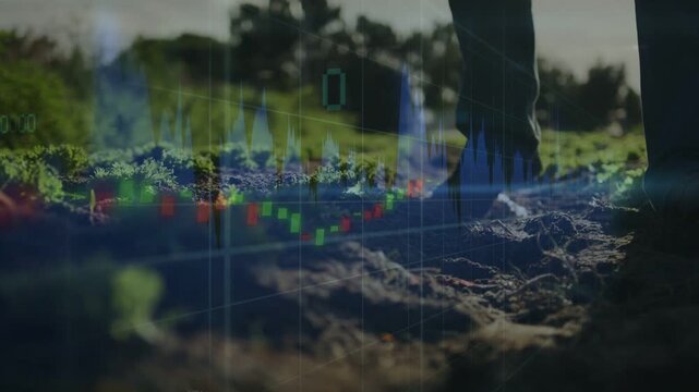 Stepping boot entering right, man in denim walking soil checking crops with hologram, copy space