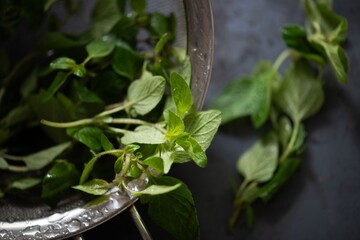 Fresh mint leaves in colander. © Rawpixel.com