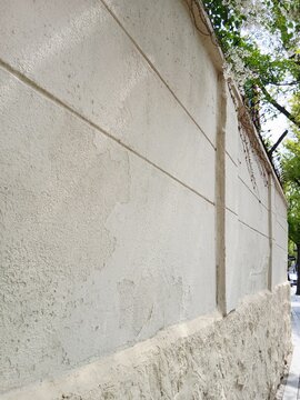 Ordinary Korean vintage house with light beige color cement concrete facade wall with white lilac flower tree garden in an old downtown alley in Seoul	
