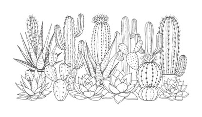 Black and white of various cacti and succulents cactus botanical desert plant © Yaseen Ali