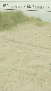 Vertical video: Sandy path static, camera panning, overlay sliding chart and FX header for finance