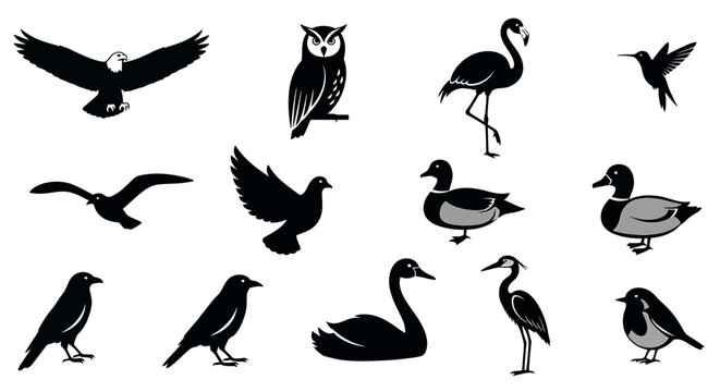 Collection of Silhouettes of Various Birds including an Eagle, Owl, Flamingo, Swan, Duck, Hummingbird, Crow, and Dove