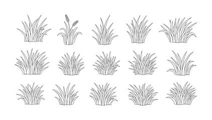 Collection of hand drawn grass tufts with textured lines plant nature botanical © Soraf
