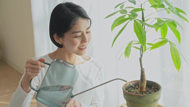 観葉植物に水をやる女性