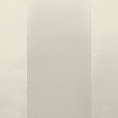 Fototapeta premium Elegant textured paper background