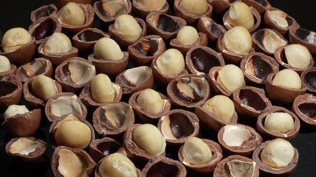 Group of cracked macadamia nuts with kernels from oblique perspective.