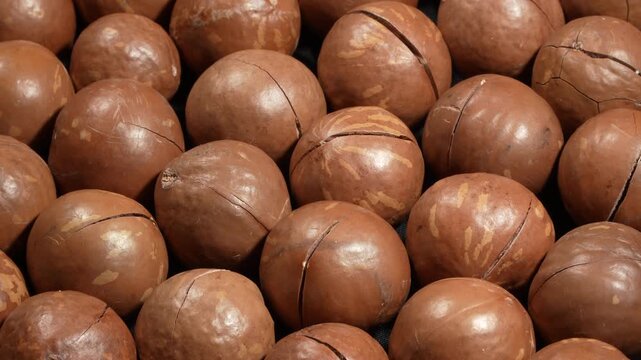 Macro shot of roasted macadamia nuts texture.