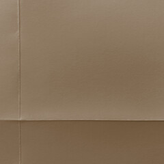 Fototapeta premium Textured brown cardboard background with copy space
