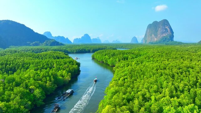 An aerial shot of a longtail boat exploring mangrove-lined waterways, highlighting eco-tourism, rich biodiversity and towering limestone cliffs in a tropical bay. Samed Nang Chee, Phang Nga, Thailand.