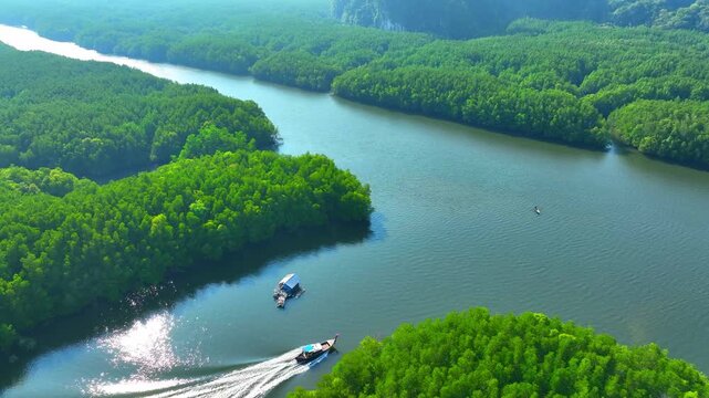 Scenic aerial view of eco-tourism in a mangrove forest bay, with a long-tail boat cruising between vibrant greenery and towering limestone mountains under clear blue skies. Phang Nga, Thailand. 4k.
