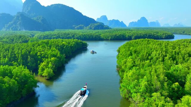 Drone view capturing sustainable travel by longtail boat along a winding mangrove river, framed by vibrant greenery and dramatic limestone karst landscapes. Samed Nang Chee, Phang Nga, Thailand. 4k.
