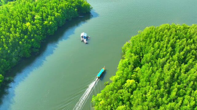 High-angle drone shot of a long-tail boat exploring mangrove channels, showcasing sustainable tourism, green nature, and dramatic limestone cliffs in a peaceful coastal bay. Phang Nga, Thailand. 4k.
