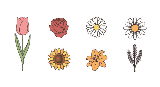 Colorful flowers on white background.