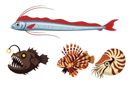 oarfish, anglerfish , lion fish, Nautilus vector