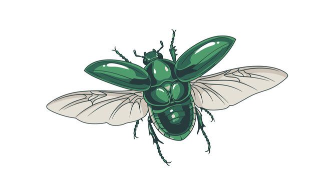 Green metallic beetle with wings spread.