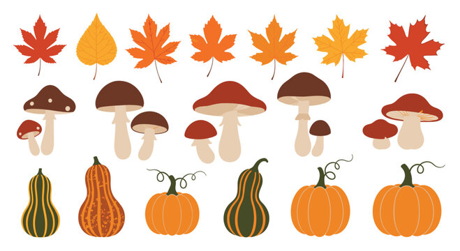 Seasonal autumn collection includes various colorful maple leaves, earthy mushrooms, and orange pumpkins for fall decor.