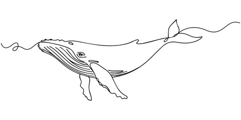 whale continuous one line drawing, Sea Escape. Minimalistic one-line drawing a whale tail disappearing beneath water surface, continuous single black line on white background, simple outline © Parboti