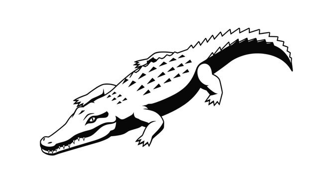 Detailed black and white line art illustration of a crocodile or alligator viewed from above on a white background.