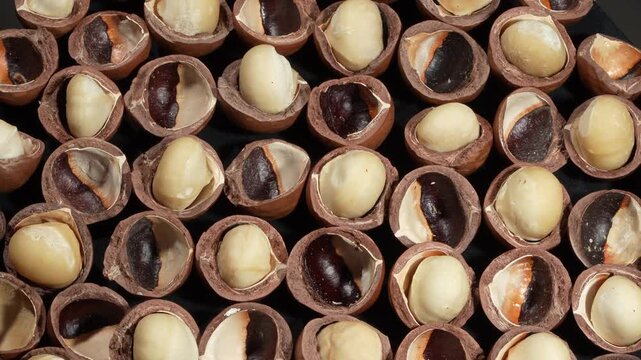 Group of roasted macadamia nuts with kernels background.