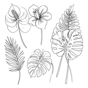 A black and white illustration of various tropical flowers and leaves