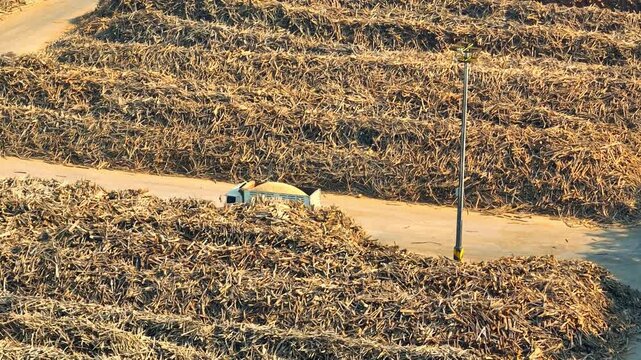 Drone perspective of a timber factory site filled with processed wood stock, showcasing large-scale wood industry logistics, organized storage yards, and material efficiency in production areas. 4k.
