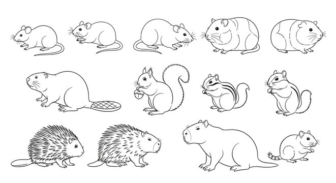 Collection of various small rodents profile.