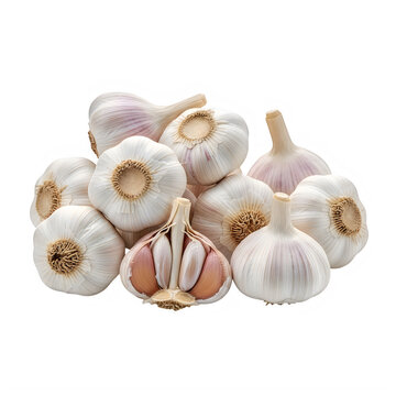 A pile of garlic bulbs and one cut open